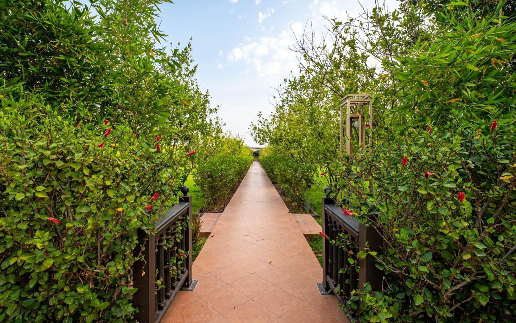 The Lemonary Marrakech Hotel Ouled Moumen Bagian luar foto