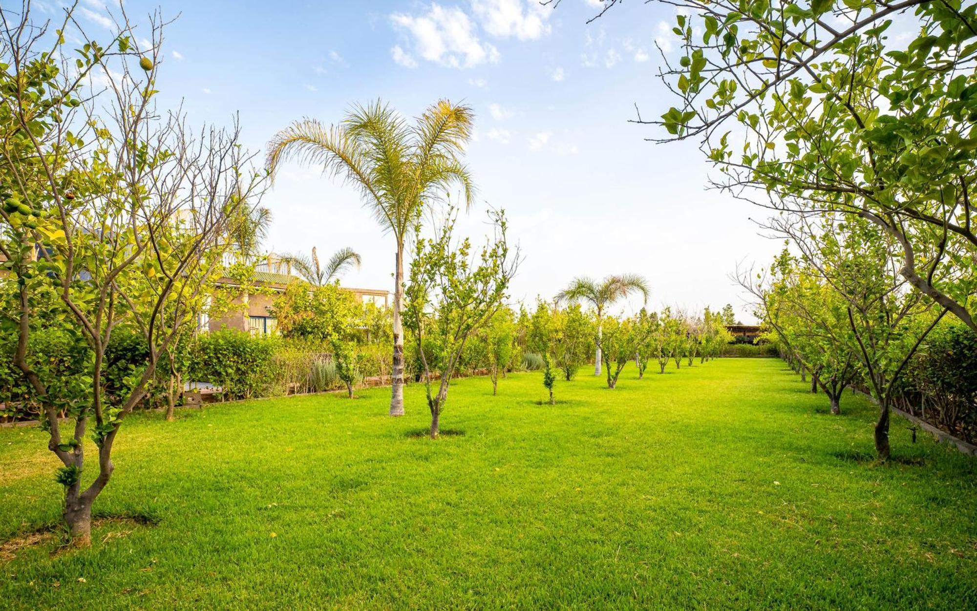 The Lemonary Marrakech Hotel Ouled Moumen Bagian luar foto