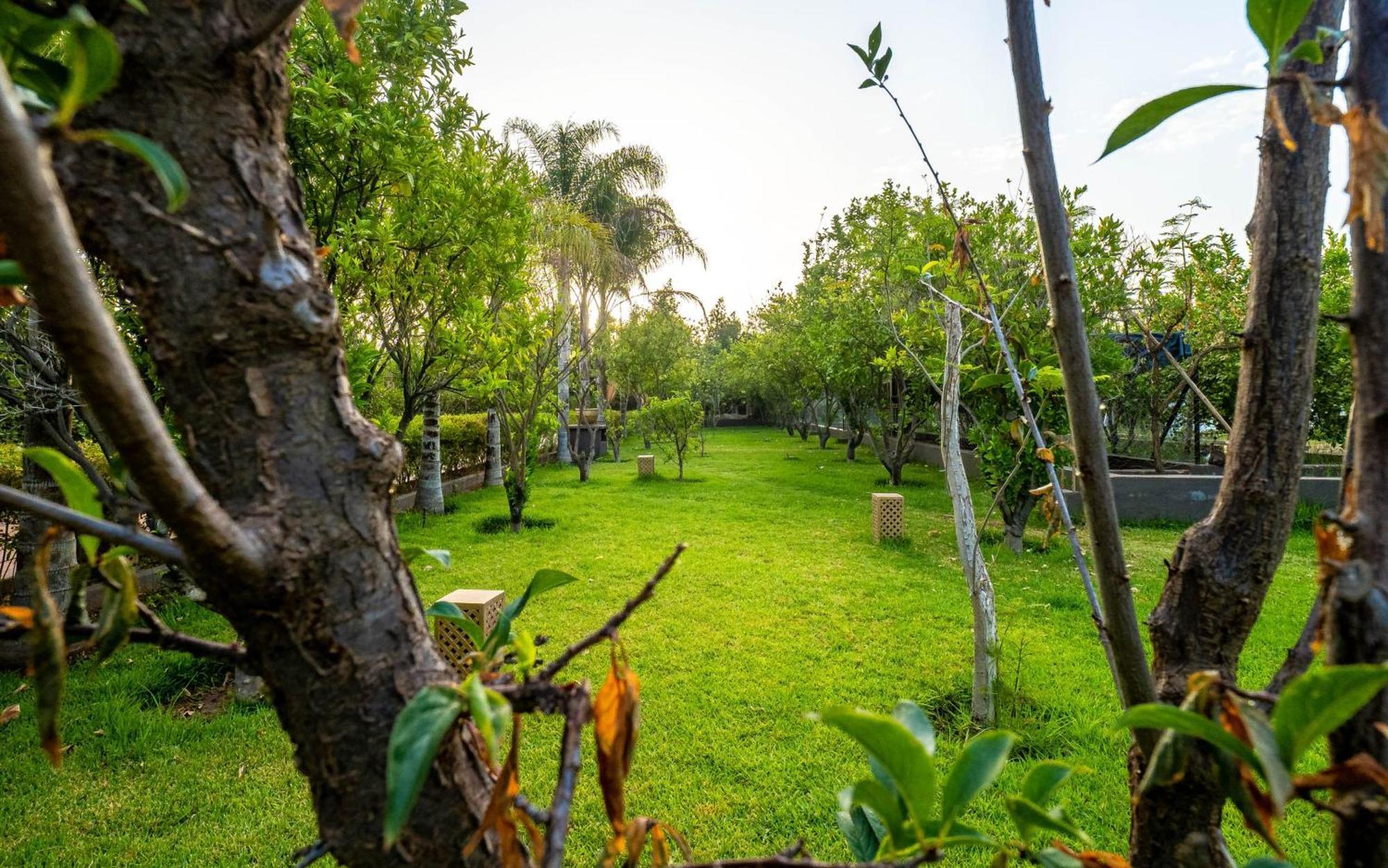 The Lemonary Marrakech Hotel Ouled Moumen Bagian luar foto
