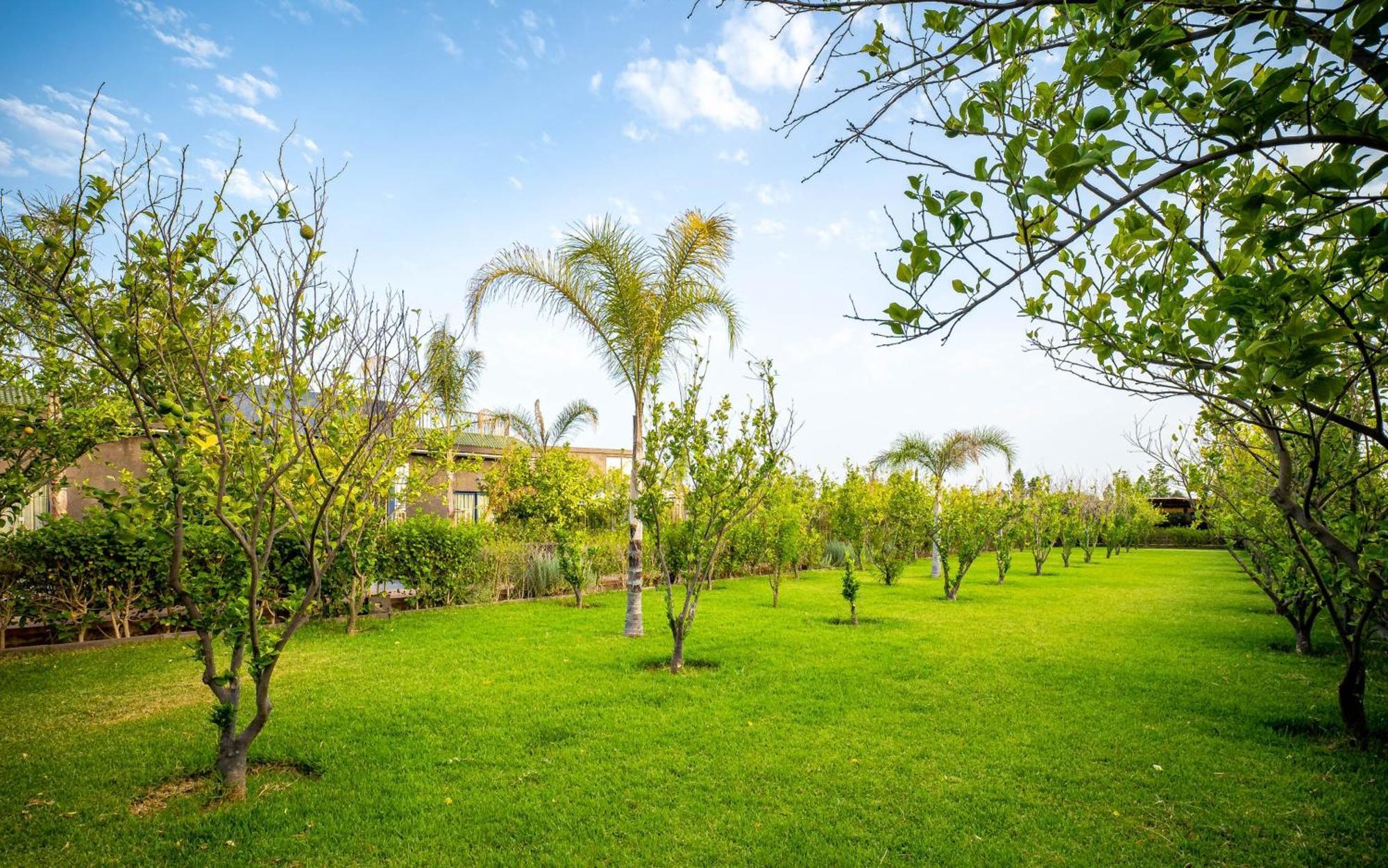 The Lemonary Marrakech Hotel Ouled Moumen Bagian luar foto