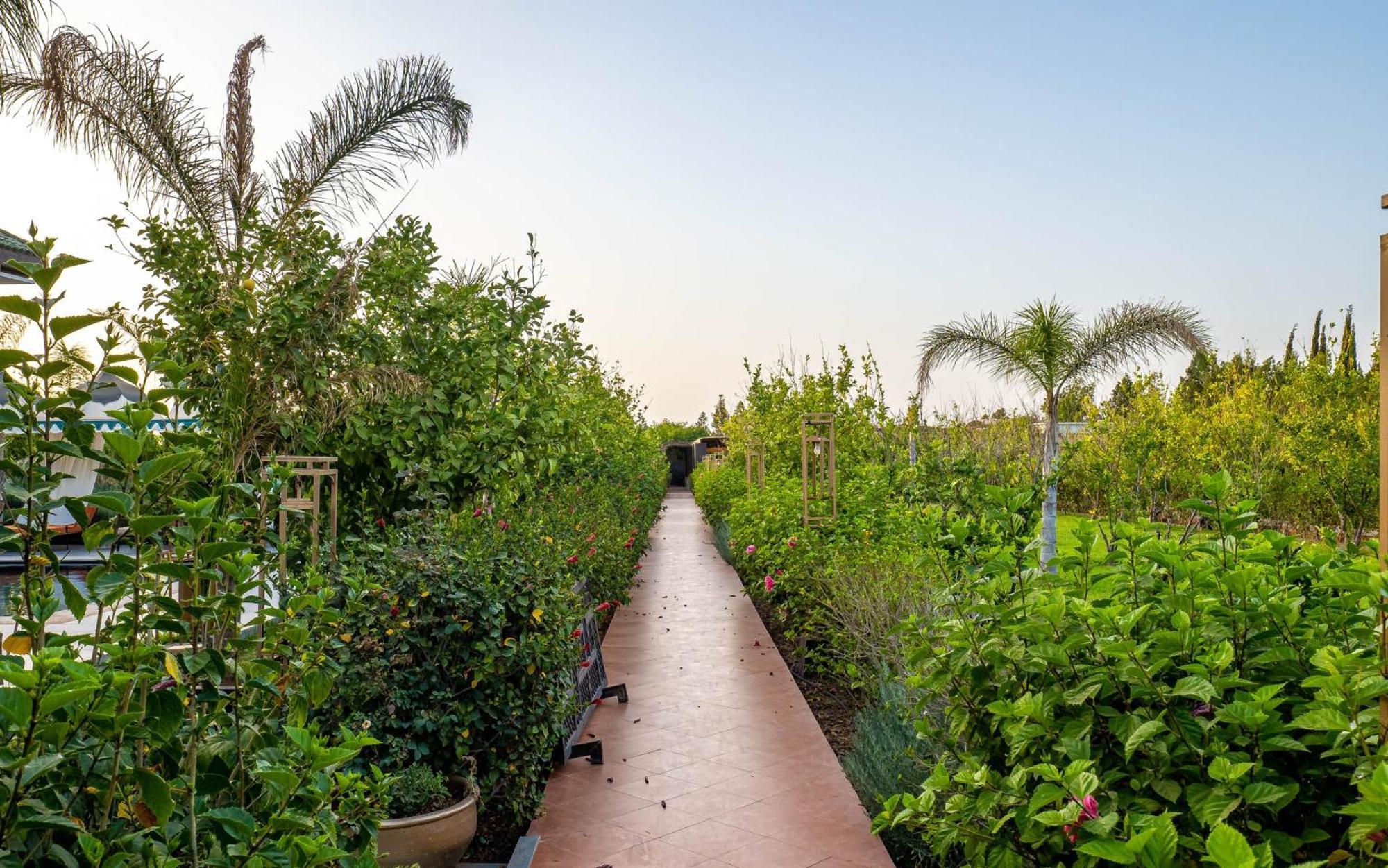 The Lemonary Marrakech Hotel Ouled Moumen Bagian luar foto